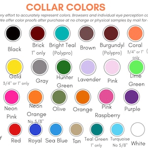 May include: A color chart titled COLLAR COLORS displaying various circular swatches with labels including Apple, Black, Brick, Bright Teal, Brown, Burgundy, Coral, 2-color, Forest Green, Gold, Gray, Hunter Green, Lavender, Pink, Lime Green, Midnight Teal, Navy, Neon Pink, Neon Orange, Olive, Orange, Pink Raspberry, Purple, Rainbow, Raspberry, Red, Royal, Sea Blue, Tan, Teal Green, Turquoise, White, and Yellow.