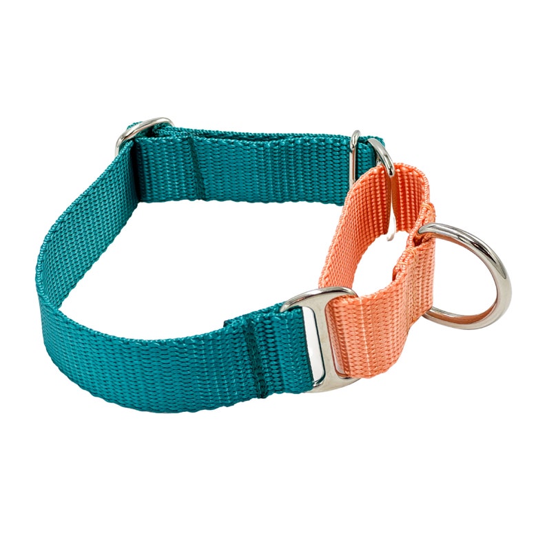 May include: A martingale collar featuring a teal nylon strap and a contrasting peach-colored nylon loop. The collar includes silver-toned metal hardware, including two rectangular slides and a large circular D-ring for attaching a leash.