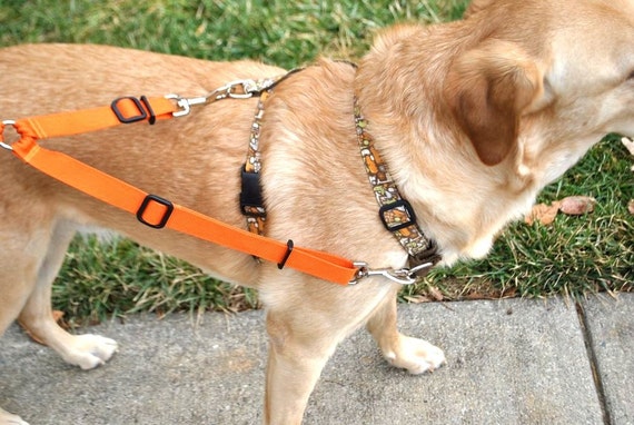 Dog Head Collar, No Pull Training Tool for Dogs on Walks, Includes