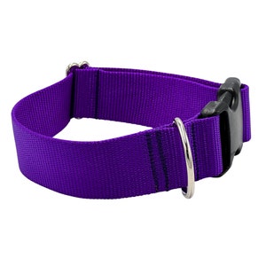 May include: A purple nylon dog collar with a black plastic buckle and a silver metal D-ring.