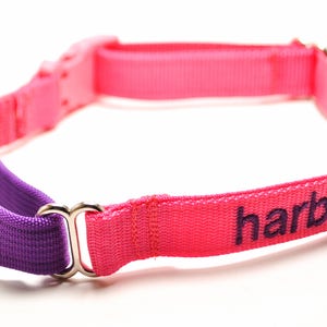 Personalized Martingale with Buckle Dog Collar / Solid Nylon / 5/8 inch, 3/4 inch, 1 inch / ID Tag on Collar
