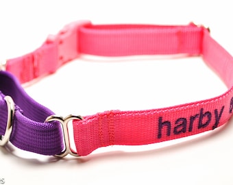 Personalized Martingale with Buckle Dog Collar / Solid Nylon / 5/8 inch, 3/4 inch, 1 inch / ID Tag on Collar