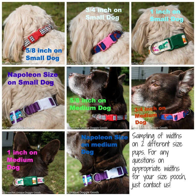 Mallard Ducks Dog Collar Hunting Dog Retriever Woodland Green and Brown Duck Toller