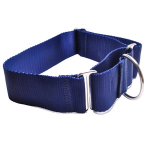 May include: A blue nylon dog collar with a silver buckle and D-ring.