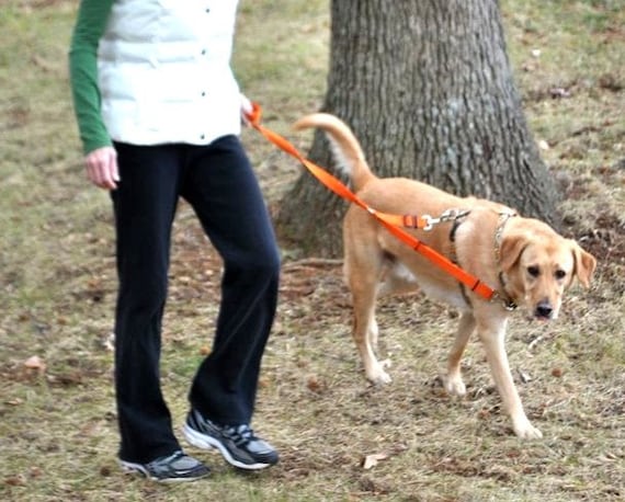 Hook for dog leash sales