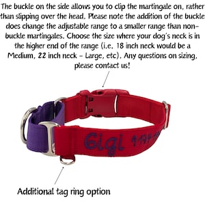 Personalized Martingale with Buckle Dog Collar / Solid Nylon / 5/8 inch, 3/4 inch, 1 inch / ID Tag on Collar image 3