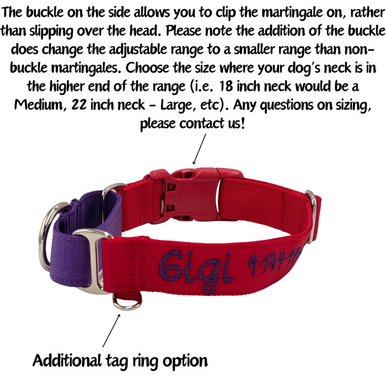 Personalized Martingale with Buckle Dog Collar / Solid Nylon / 5/8 inch, 3/4 inch, 1 inch / ID Tag on Collar image 3