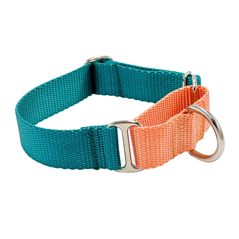May include: A teal and peach nylon martingale collar featuring durable silver-toned metal hardware. The collar consists of a wide teal strap connected to a smaller peach-colored loop, with two metal D-rings for leash attachment and adjustment.