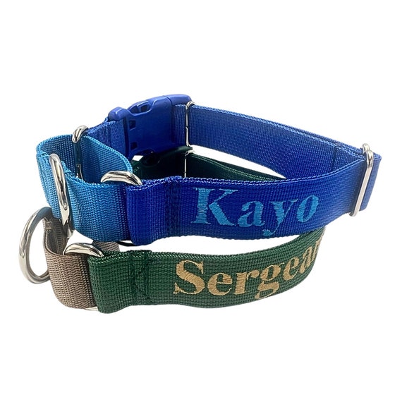 Personalized Martingale with Buckle Dog Collar / Solid Nylon / 5/8 inch, 3/4 inch, 1 inch / ID Tag on Collar