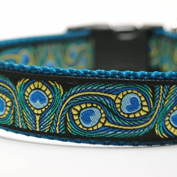 Custom Dog Collar - Peacock