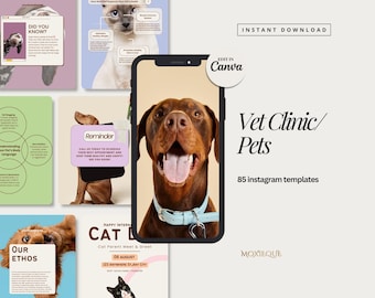 Modelos de Instagram para empresas de animais de estimação: Clínica veterinária, modelos de mídia social para resgate de animais (Canva)