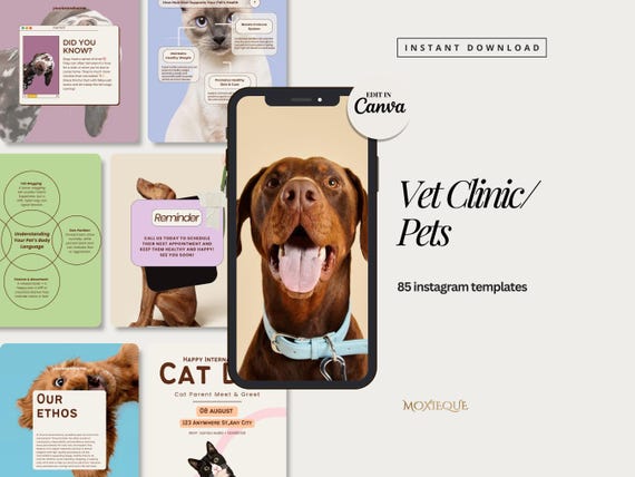 Pet Business Instagram Templates: Vet Clinic, Animal Rescue Social Media Templates (Canva)