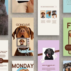 K&ouml;nnte beinhalten: Eine Collage von Bildern, die f&uuml;r eine Tierarztpraxis werben. Die Bilder zeigen Hunde und Katzen mit Texten wie "Die Bedeutung regelm&auml;&szlig;iger Tierarztbesuche", "Das Geschenk der Gesundheit f&uuml;r Ihren pelzigen Freund!", "Live-Schaltung", "Montag", "Neue Tiere in dieser Woche gerettet", "Buchen Sie 3 Tierarzt-Check-ups, erhalten Sie 1 gratis!" und "FAQ".
