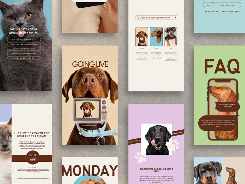 K&ouml;nnte beinhalten: Eine Collage von Bildern, die f&uuml;r eine Tierarztpraxis werben. Die Bilder zeigen Hunde und Katzen mit Texten wie "Die Bedeutung regelm&auml;&szlig;iger Tierarztbesuche", "Das Geschenk der Gesundheit f&uuml;r Ihren pelzigen Freund!", "Live-Schaltung", "Montag", "Neue Tiere in dieser Woche gerettet", "Buchen Sie 3 Tierarzt-Check-ups, erhalten Sie 1 gratis!" und "FAQ".