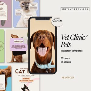 K&ouml;nnte beinhalten: Ein Satz von 85 Instagram-Vorlagen f&uuml;r eine Tierarztpraxis oder ein Tiergesch&auml;ft. Die Vorlagen zeigen verschiedene Bilder von Hunden und Katzen sowie Text, der einfach zu bearbeiten ist. Die Vorlagen sollen Ihnen helfen, Ihr Gesch&auml;ft zu bewerben und mit Ihren Kunden in Kontakt zu treten.