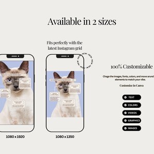 K&ouml;nnte beinhalten: Zwei Mockups eines Smartphone-Bildschirms, die eine Katze mit einem Diagramm ihrer Anatomie zeigen. Der Text "Available in 2 sizes" befindet sich oben im Bild. Der Text "100% Customizable" befindet sich in der Mitte des Bildes. Der Text "Customize in Canva" befindet sich unter dem Text "100% Customizable". Unter dem Text "Customize in Canva" befinden sich f&uuml;nf Schaltfl&auml;chen mit H&auml;kchen und dem folgenden Text: "TEXT", "COLORS", "VIDEOS", "GRAPHICS" und "IMAGES".