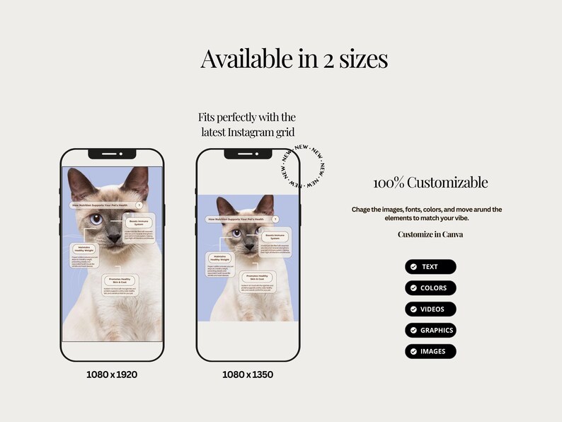 K&ouml;nnte beinhalten: Zwei Mockups eines Smartphone-Bildschirms, die eine Katze mit einem Diagramm ihrer Anatomie zeigen. Der Text "Available in 2 sizes" befindet sich oben im Bild. Der Text "100% Customizable" befindet sich in der Mitte des Bildes. Der Text "Customize in Canva" befindet sich unter dem Text "100% Customizable". Unter dem Text "Customize in Canva" befinden sich f&uuml;nf Schaltfl&auml;chen mit H&auml;kchen und dem folgenden Text: "TEXT", "COLORS", "VIDEOS", "GRAPHICS" und "IMAGES".