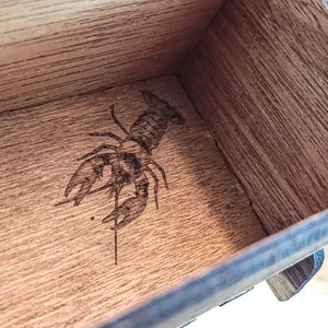 Dragonfly keepsake wooden box pencil potpourri jewelry Incense Celtic knot Pagan alter ritual witchcraft Wiccan snails crayfish Mother's Day image 8