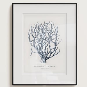 Póster de arte coral, impresión de arte mural sereno, decoración digital, decoración del hogar, arte marino, arte náutico, pósteres marinos, arte minimalista, decoración marina