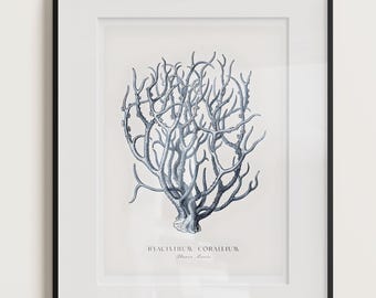 May include: Framed botanical print featuring a detailed illustration of a coral-like plant in shades of blue and gray. The artwork is set against a white background and framed in a black frame. The print includes the text "HYACINTHUS CORMEUM" and "Marine Flora".
