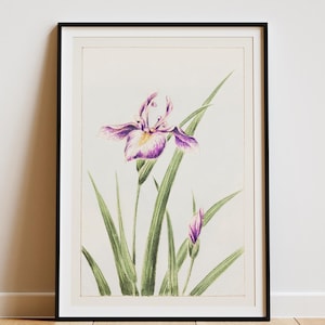 Japanese Flower Poster Wall Art Print, Digital Art Decor, Asian Floral Print, Home Decor, Nature Art