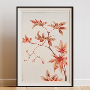 Japanese Flower Poster Wall Art Print, Digital Art Decor, Asian Floral Print, Home Decor, Nature Art