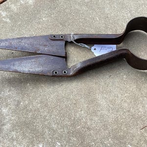 May include: Vintage metal shears with a curved handle and pointed blades. The shears are a rusty brown color and have a tag that reads "F-9". The blades are connected with rivets.