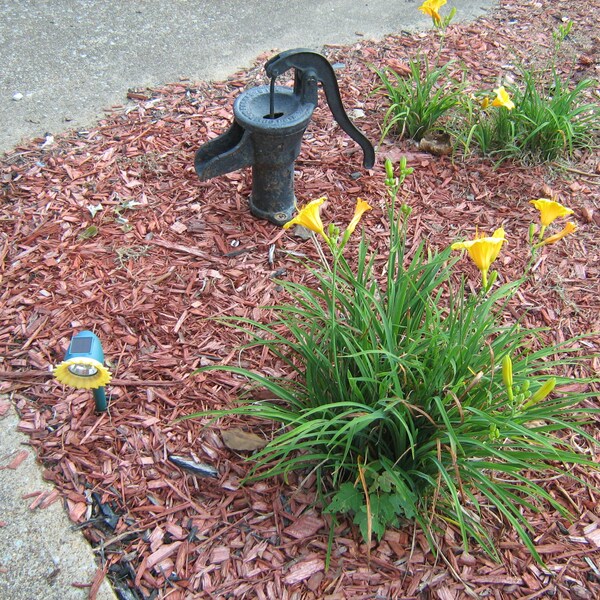 Cast Iron Hand Crank Pump Etsy