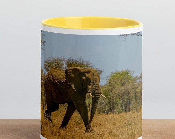 Mug with Color Inside