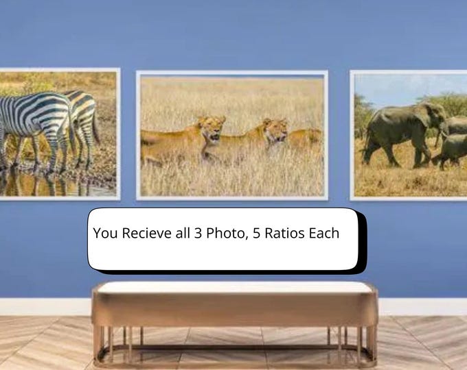 African Safari Photography Prints: Elephant, Lion, Zebra (Digital Download)