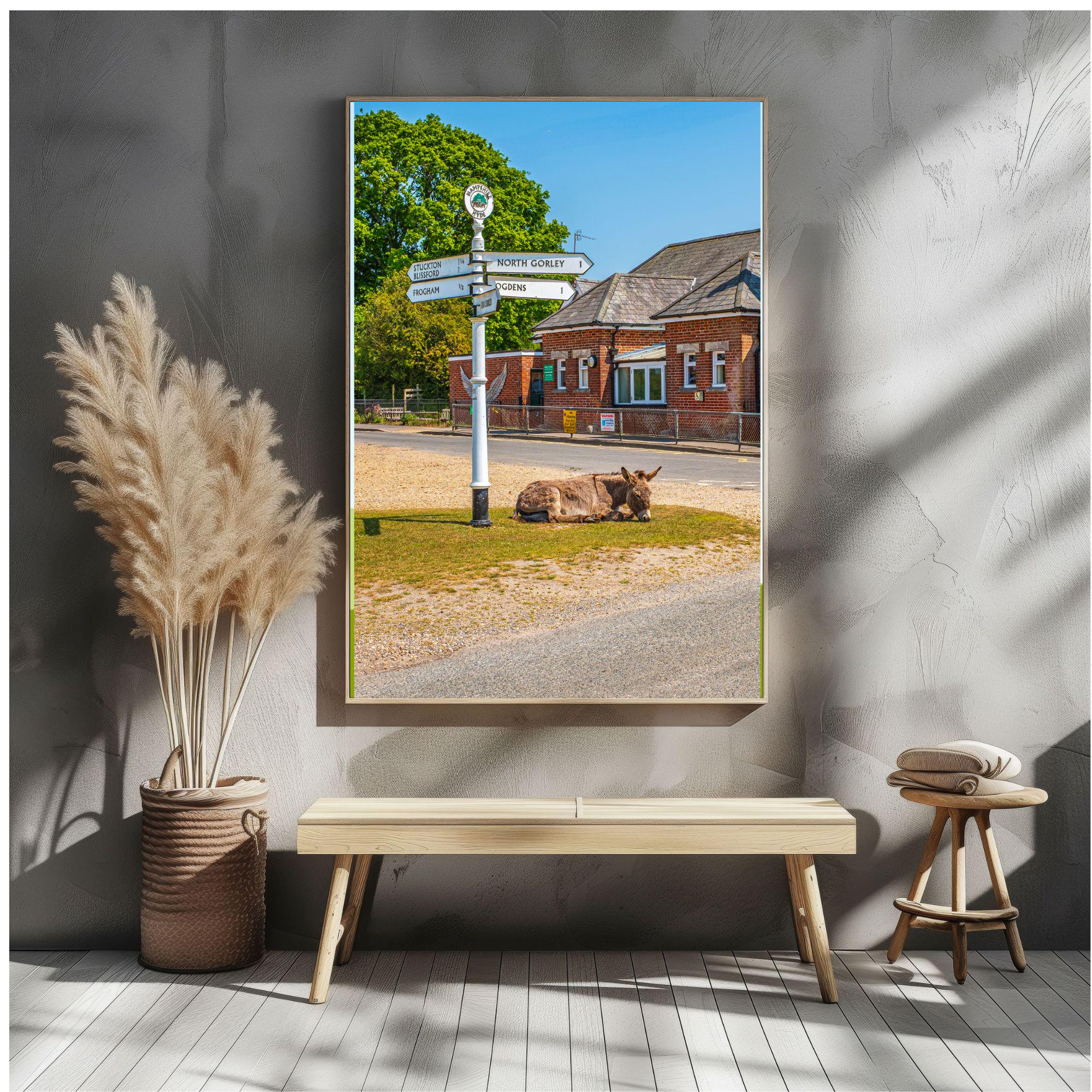 gallery photo