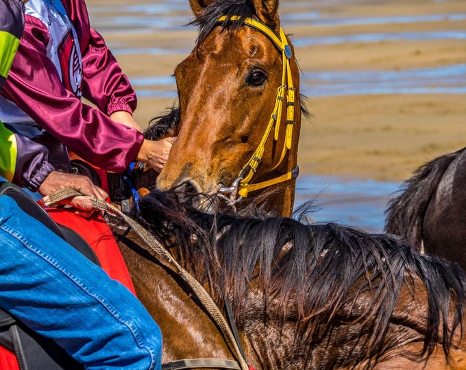Horses and Jockeys - Beach Races Queensland Australia Photo | Instant Digital Download-Horse travel lover Gift- Horse Decor, gift for her