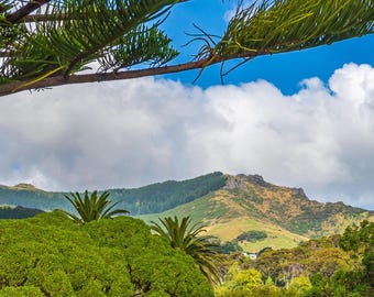 Akaroa Mountains Photo: New Zealand Fine Art Print (Digital Download)
