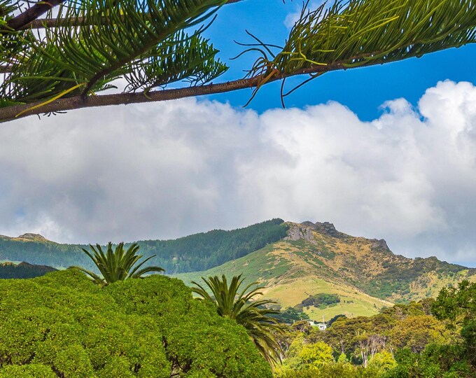 Spectacular Mountain View New Zealand Print | South Island Landscape Photo | Travel Wall Art | Instant Digital Download, Travel lover Gift