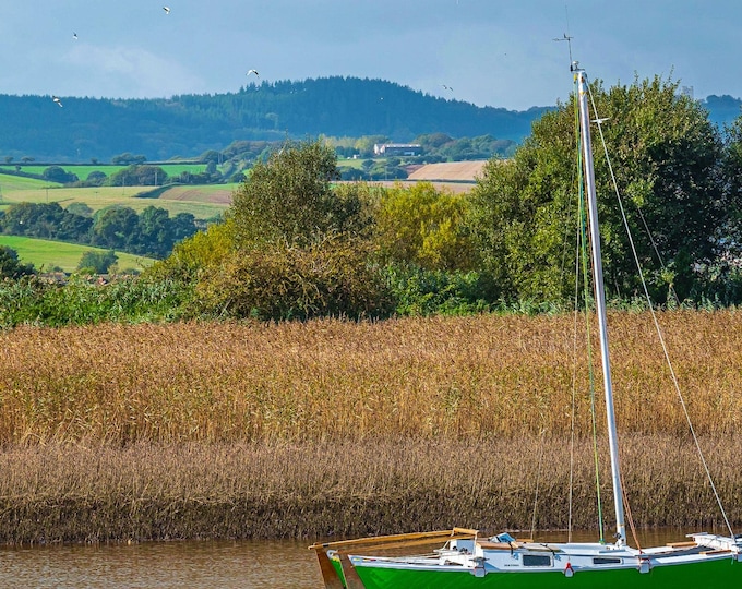 Green Sailboat Moored in Calm Estuary - Topsham Photo Print - Instant Download