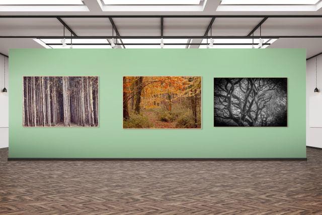 gallery photo