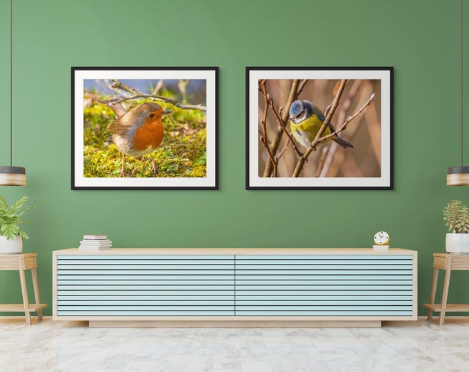 Robin and Blue Tit Photo Download, UK Bird Lovers Wall Art, Nature Gift & Home Decor