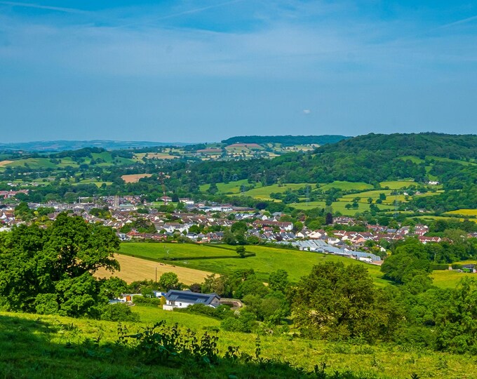 Devon Landscape Photo Download, Green English Countryside Art, High Res Boho Cottage Gift for Her and Wall Decor
