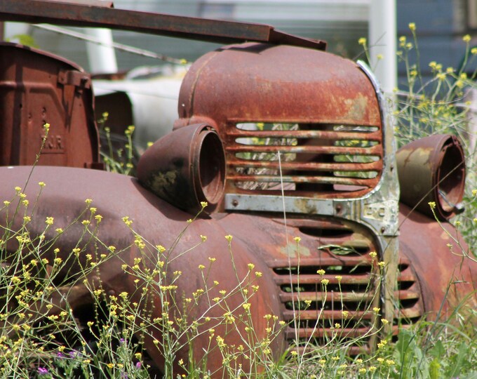 Vintage Art Dodge Truck - Outback Australia Art Photo | Digital Download