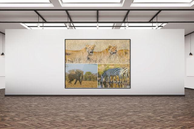 gallery photo