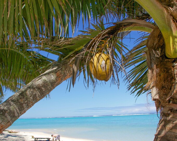 Rarotonga Cook Islands Photo, Azure Sea, Palm Trees & White Sand Download