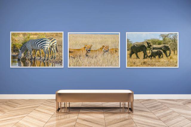 gallery photo