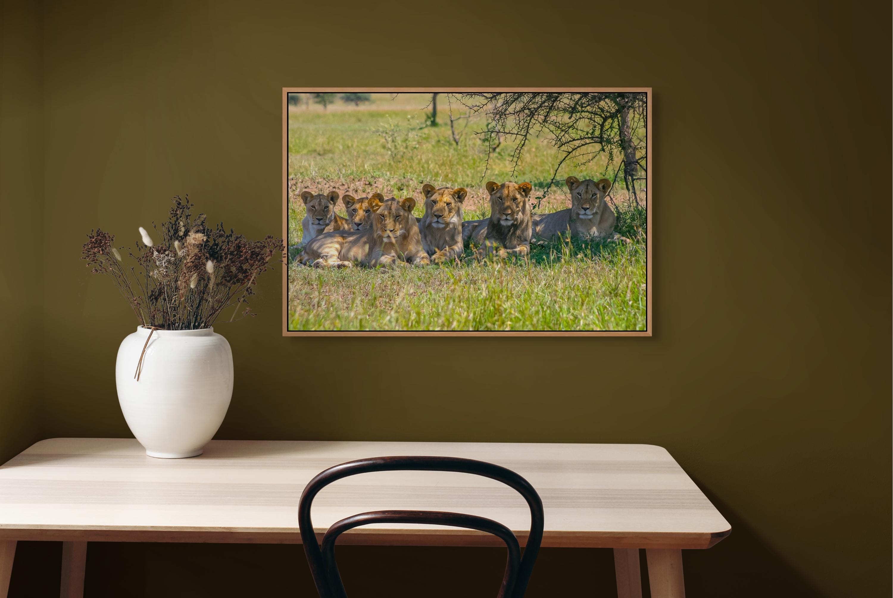 gallery photo
