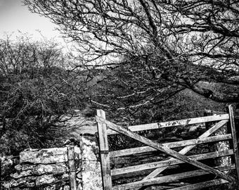 Dartmoor Landscape Print: Black and White Stone Wall, Gate (Digital Download)