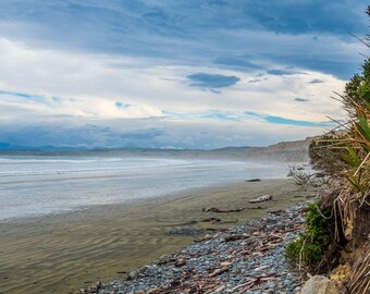 South Island NZ Coastal Photo: Windswept Beach Print (Digital Download)