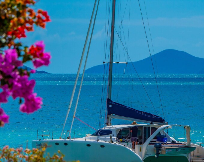 Airlie Beach Catamaran on Azure Coral Sea with Bougainvillea Photo Download