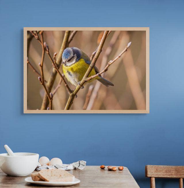 gallery photo