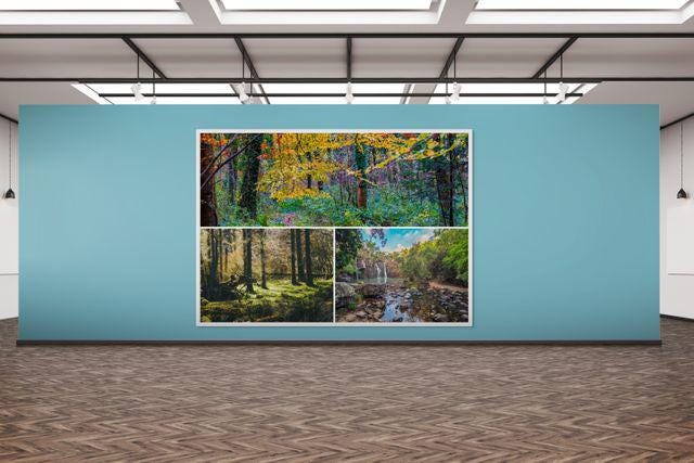 gallery photo