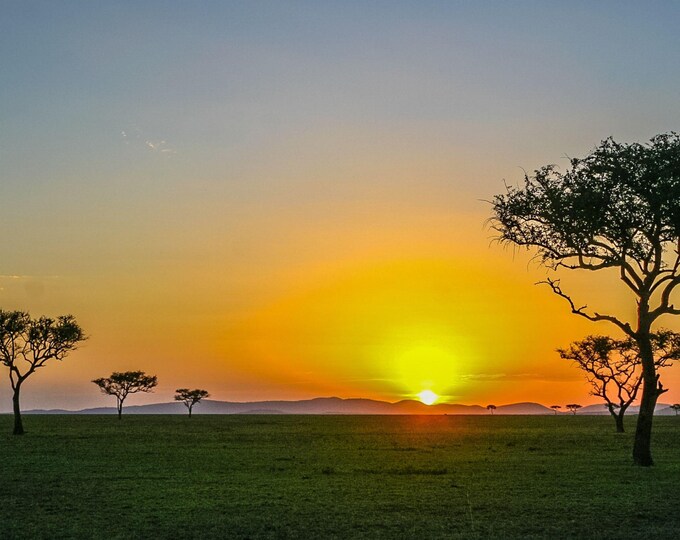 Savanna Sunset Print African Landscape Wall Art Serengeti Sunset Tanzania Safari Nature Travel Photo Download Acacia Tree Dusk Gift Decor