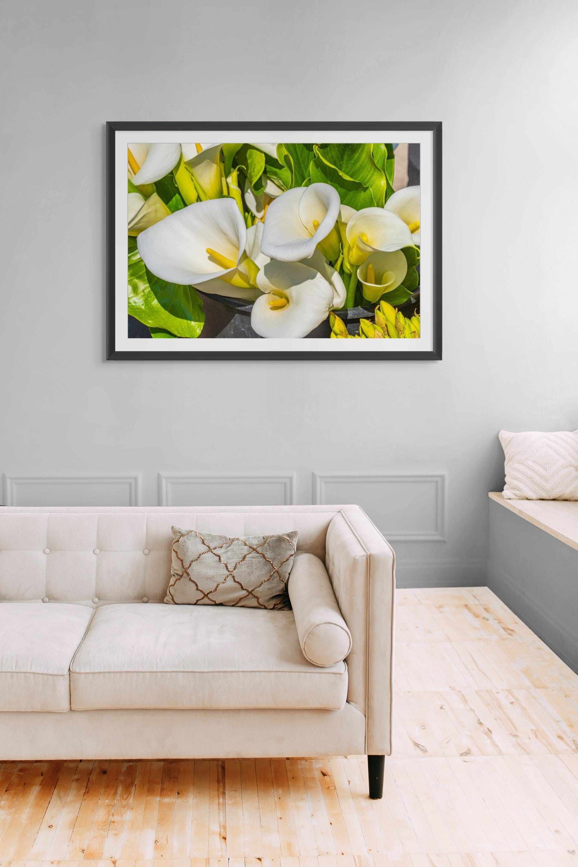 gallery photo